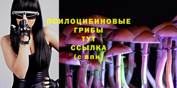 стафф Алексеевка