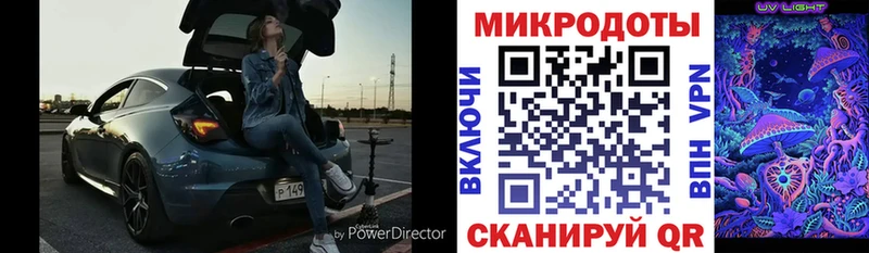Псилоцибиновые грибы Cubensis  магазин    Невинномысск 