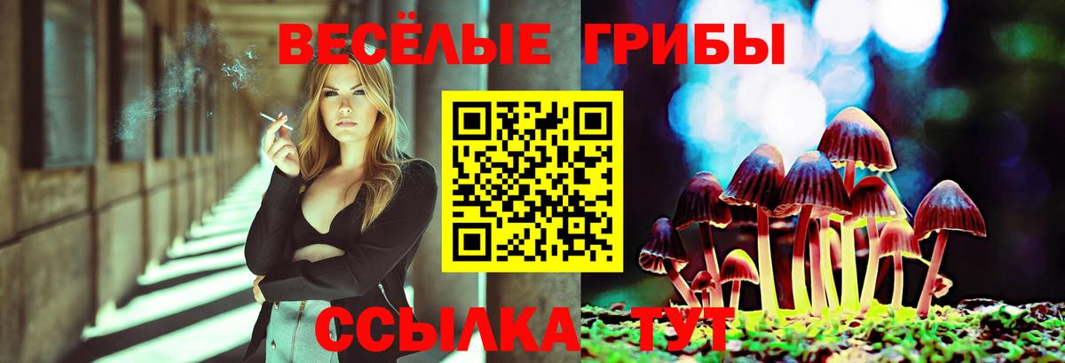 Невинномысск  Галлюциногенные грибы Psilocybe  Вход с VPN 